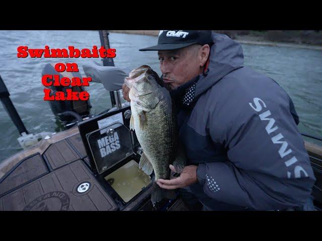 Clear Lake Swimbait Fishing with @OliverNgy & Paul Arias Big Bass Dreams Personal Training Session