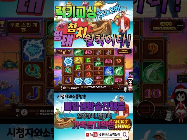 럭키피싱1262배명태.참치다잡앗쥬..월척이구나!#shorts #슬롯 #프라그마틱  #슬롯실시간 #실시간슬롯 #슬롯봉순이#슬롯마봉순