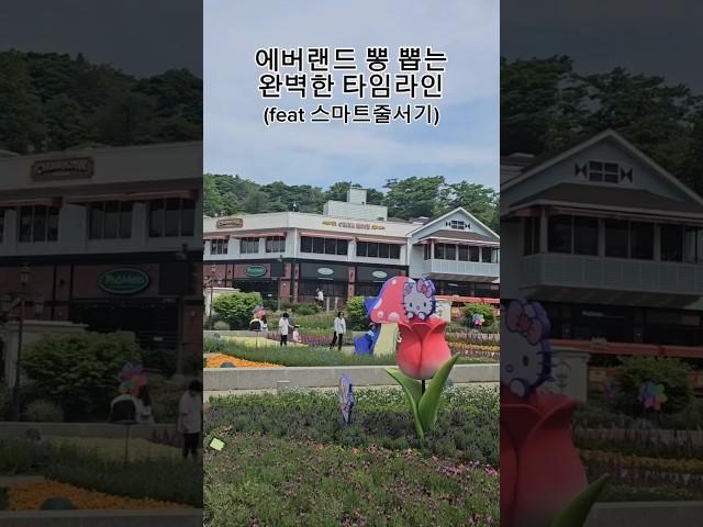 에버랜드 스마트줄서기 활용한 뽕뽑는 완벽 타임라인