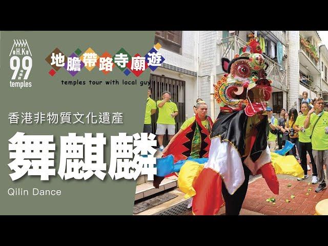 【地膽帶路寺廟遊】舞麒麟 Qilin Dance 西貢聯合堂麒麟隊 西貢天后誕