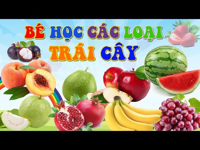 BÉ HỌC CÁC LOẠI QUẢ | ĐỌC TÊN CÁC LOẠI QUẢ, QUẢ TÁO, QUẢ CHUỐI, QUẢ NHO, QUẢ ỔI, THANH LONG | SỨA TV