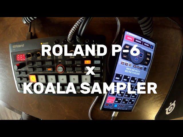 ROLAND P-6 x KOALA SAMPLER