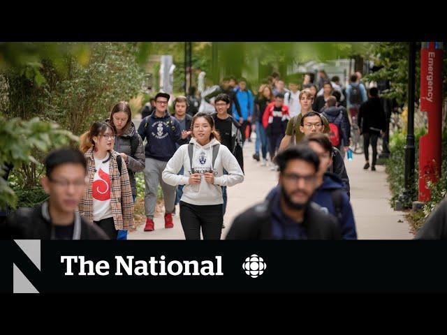 Universities, colleges say foreign student cuts could hurt Canada’s reputation