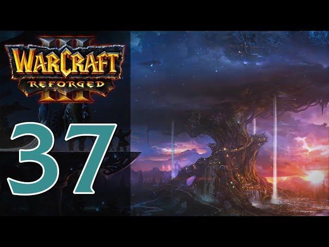 Прохождение Warcraft 3: Reforged #37 - Глава 7: Сумерки богов [Ночные эльфы - Конец вечности]