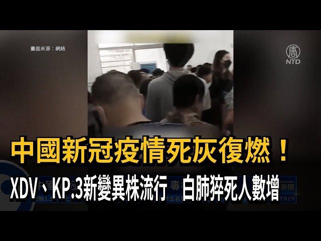 中國新冠疫情死灰復燃！XDV、KP.3新變異株流行 白肺猝死人數增－民視新聞