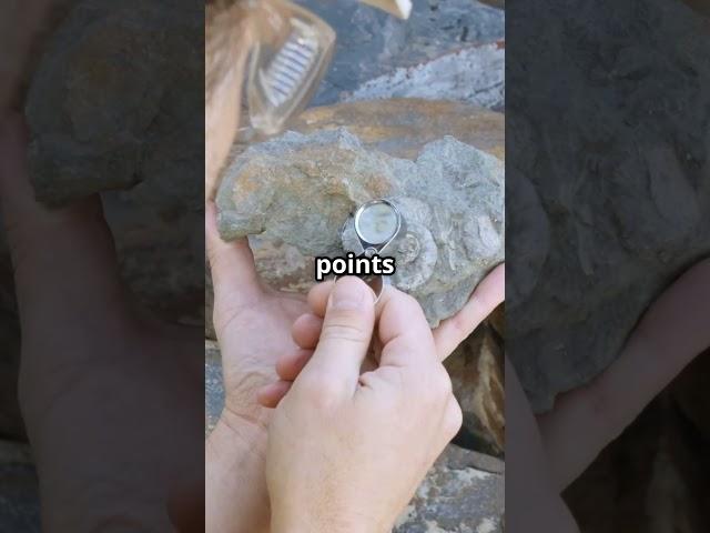 The Geology of Gold: Know Before You Go #quartzveingold #lodegold #placergold #alluvial #goldgeology