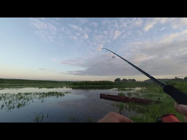 Рыбалка на попперы и волкеры | Morning fishing on the home river