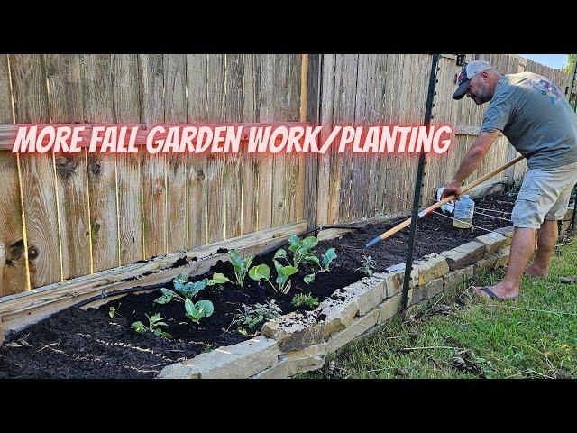 Fall Planting, Part 2 || Squash Seed Experiment || DHBG