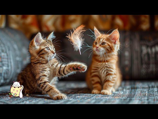 Relaxing Music for Cat - Peaceful Sounds for Feline Serenity  Soothing Cat Melodies