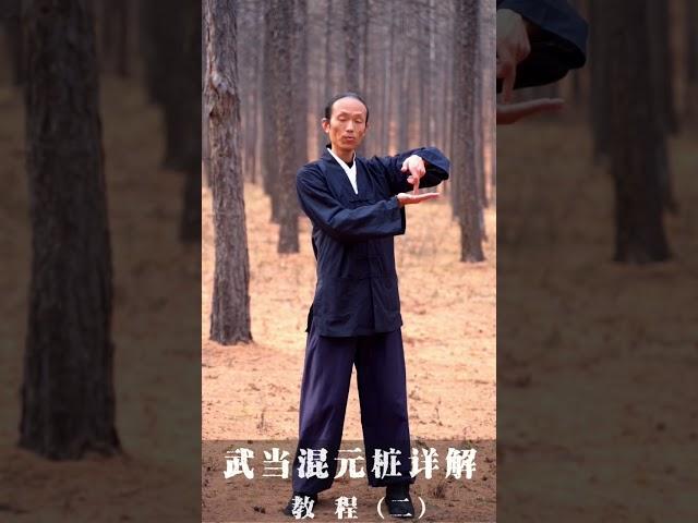 渾元樁站樁教程2-太極拳的腿上的基本功該怎麼練？
