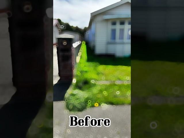 Before and after lawn care #lawn #mowing #beforeandafter