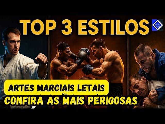 TOP 3 Estilos de Luta Mais Eficazes do Mundo – Você Treinaria Qual?
