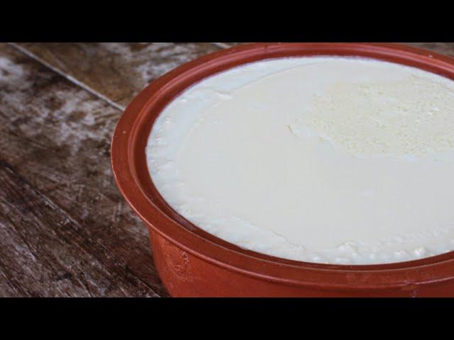 Πως να φτιάξετε το τέλειο Γιαούρτι - How to make the perfect Greek Yogurt