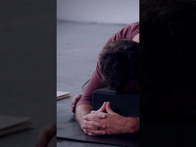 Zen Beginners Mind (Daily Inspiration & Wisdom) — Inner Dimension TV