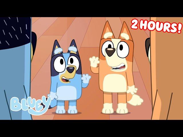 Bluey Seasons 1, 2, and 3 FULL EPISODES  | Unicorse, Faceytalk, Pass the Parcel, and More! | Bluey