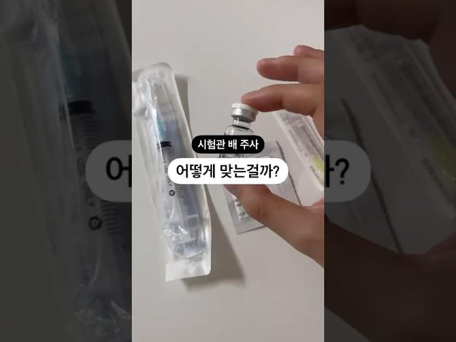 시험관 주사 맞는 법..
