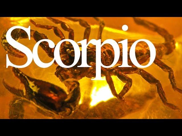 Scorpio Traits and Personality | Zodiac Sign Focus #SCORPIO | Gregory Scott Astrology