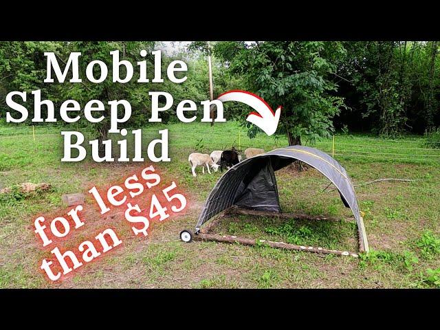 Mobile Sheep Pen Build for less than $45