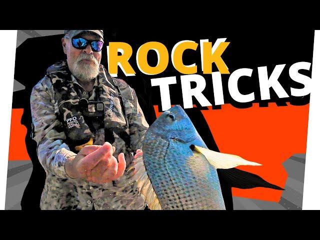 How To Save A DUD Rock Fishing Session By Being Versatile!