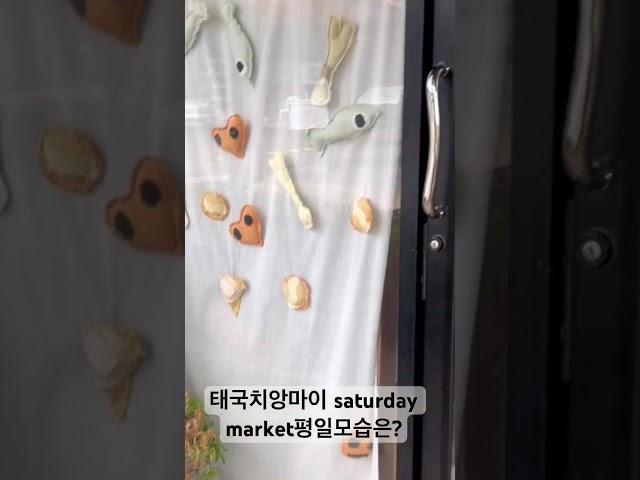 태국치앙마이 saturday market평일모습은? #태국#태국여행 #태국자유여행 #치앙마이#치앙마이브이로그 #saturdaymarket #thailand #