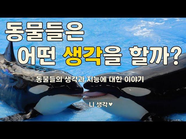 동물들의 생각과 지능[언어, 애도, 거짓말, 동료애, 왕따, 교육, 동물행동의 진화]