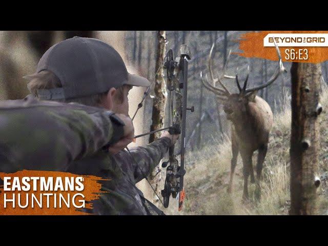 Facing Off with a Giant! Bow Hunting Backcountry Bulls in Grizzly Country 4K