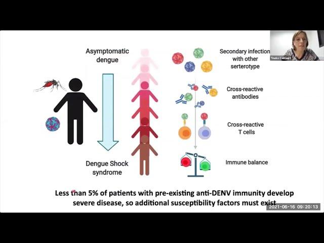 Immune responses after dengue virus infection: friend or foe? by Dr. Tineke Cantaert