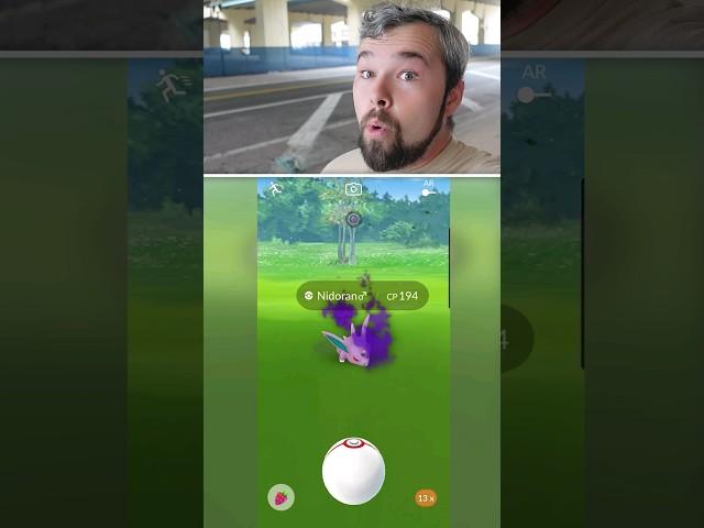 My Newest Shadow Hundo! #shorts #pokemongo #pokemon