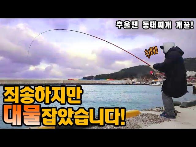 죄송하지만 대물 잡았습니다! 겨울엔 동태찌개 개꿀! [캠낚세끼] 추자도 낚시n캠핑 / caravan / camping car / Fishing / 캠핑카