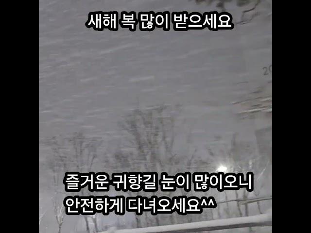 #금화다육 #다육식물 #수입전문