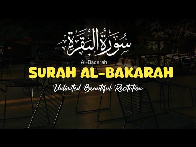 Surah Al Bakarah Beautiful Recitation البقرة‎ | Abu Abdullah Muhammad Umar