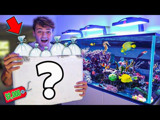 BUYING $2,000 in FISH for My SALTWATER REEF AQUARIUM!!