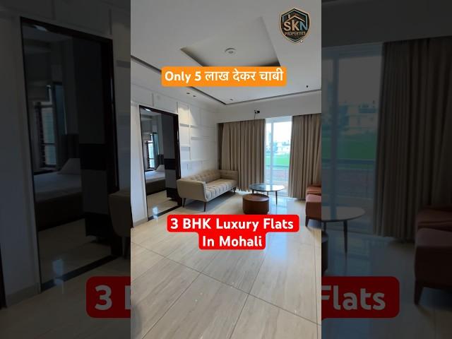 3 BHK luxury Flats for sale in Mohali | Near Chandigarh | #youtubeshorts #youtubeshort #mohali