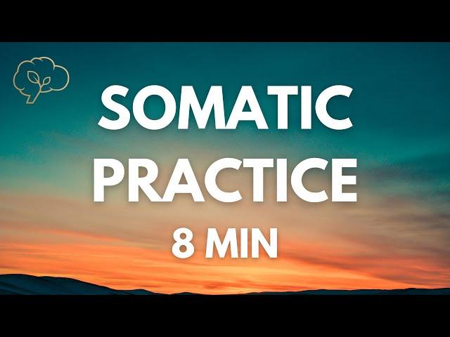 Somatic Exercises for Nervous System Regulation | 8 Min Guided