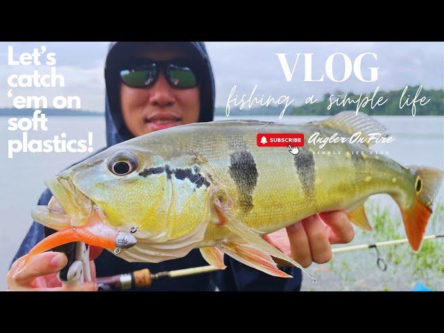 Vlog 18: Singapore Living, Family Time, Peacock Bass Fishing Success On Rapala Lures & Soft Plastics