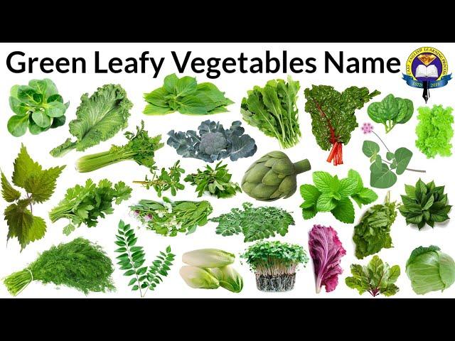 Green Leafy Vegetables Name In English With Pictures | Leafy | Green Leafy Vegetables | Leafy Names