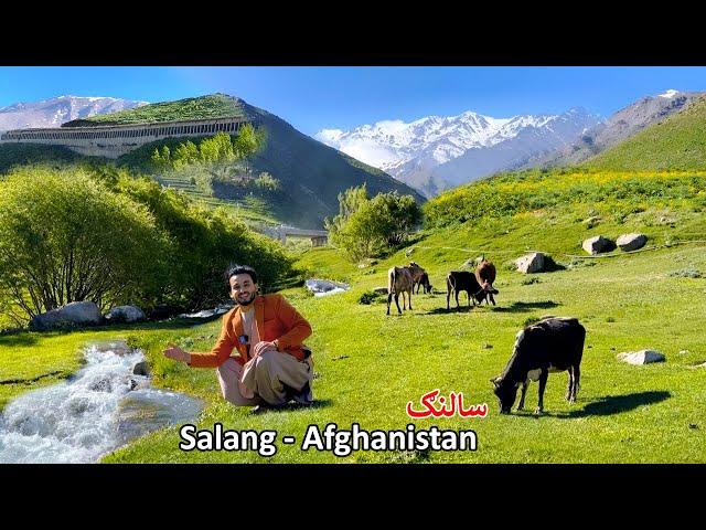 Salang Spring Season | Afghanistan 2024 | د سالنګ تازه حال او هوا