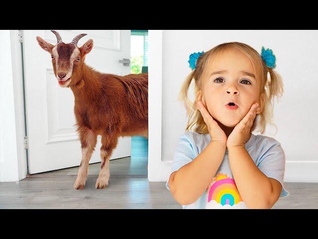 Alice explores animals by sounds and footprints