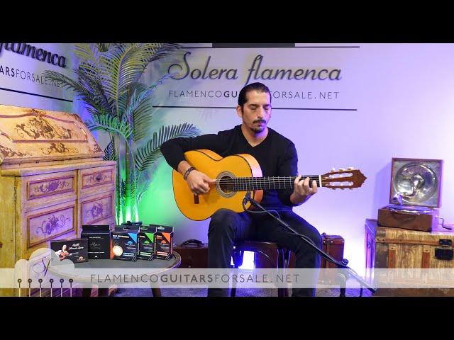 Gerundino Hijo 2024 flamenco guitar for sale played by José Andrés Cortés