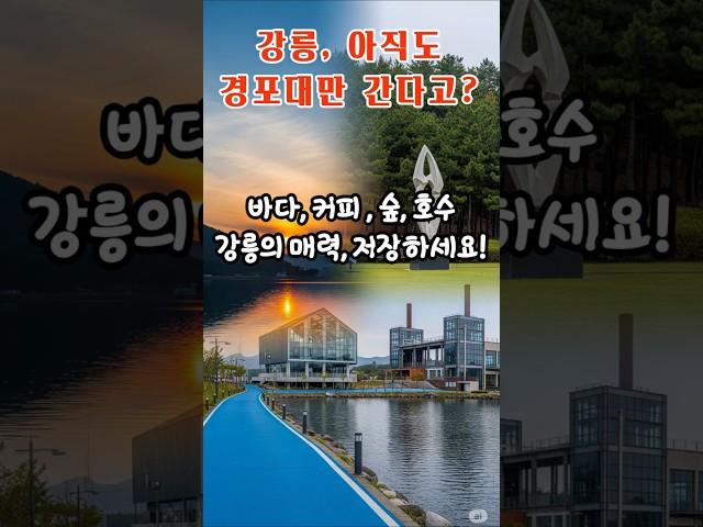 강릉 아직도 경포대만 간다고?