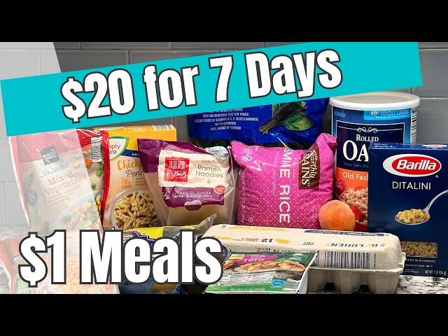 $20 for 7 Days | $3 Dinners | Extreme Budget Meals