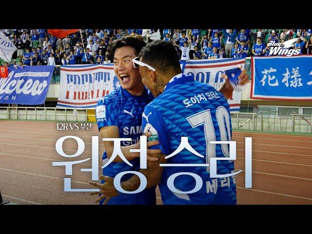청백적 색으로 물들이며 | 12R 부산전 비하인드