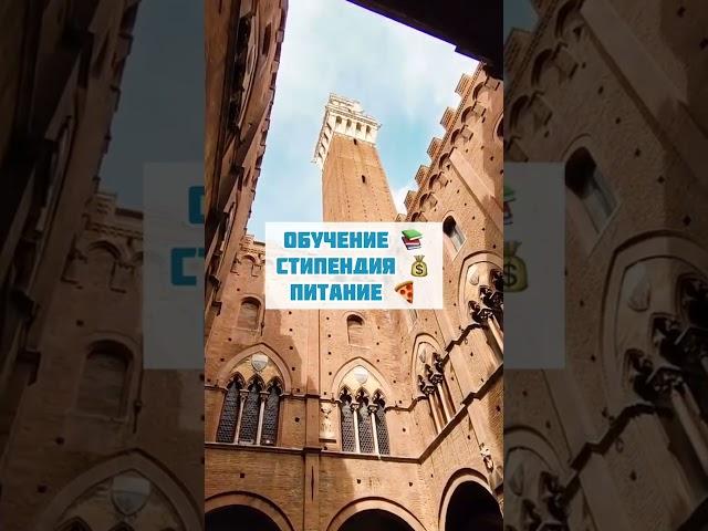 Бесплатное образование в Италии   #образованиевевропе #образованиеиталии #образованиевавстрии