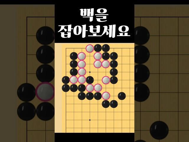 쉬운 바둑 사활 - 5초 안에 풀면 유단자