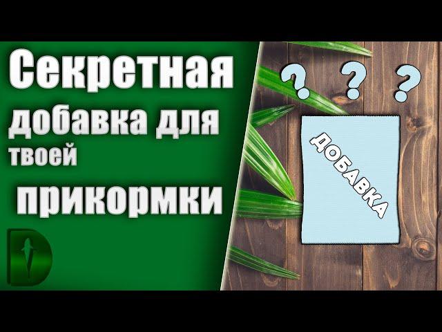 Секрет удачной РЫБАЛКИ! Добавка для прикормки! Рыба дуреет ! Активатор клёва в домащних условиях!