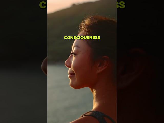 Check out the full show on YouTube - THE SOCIAL DIGG w/ @misterrobgee #consciousness