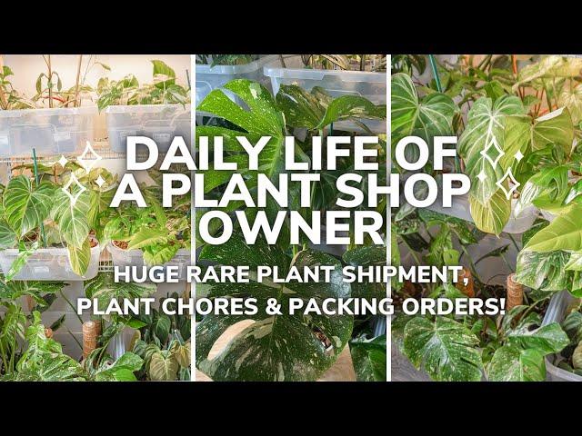 How I Run My Plant Store From Home | Prepping For Huge Shop Updates | Packing Your Plant Orders