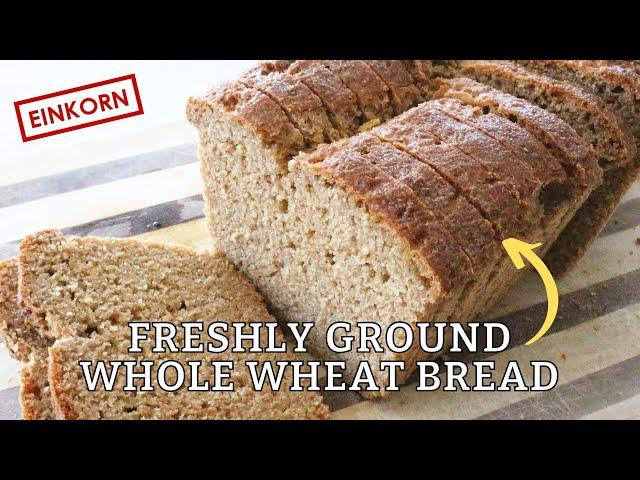 Maple Wheat Einkorn Bread | Freshly Ground Einkorn Flour Recipe