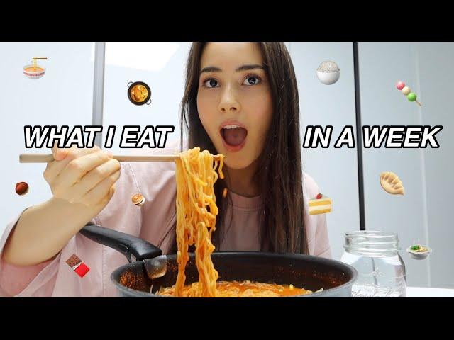 what i eat in a week (korean food + vegan)