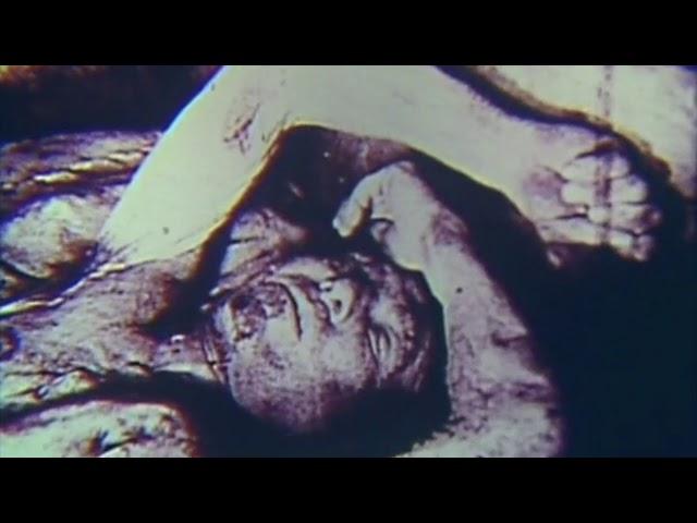 The Holocaust - Extermination Camp Film Footage